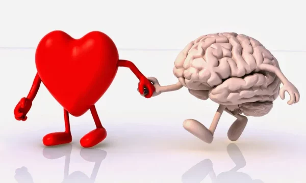 intelligence-emotionnelle intelligence-emotionnelle